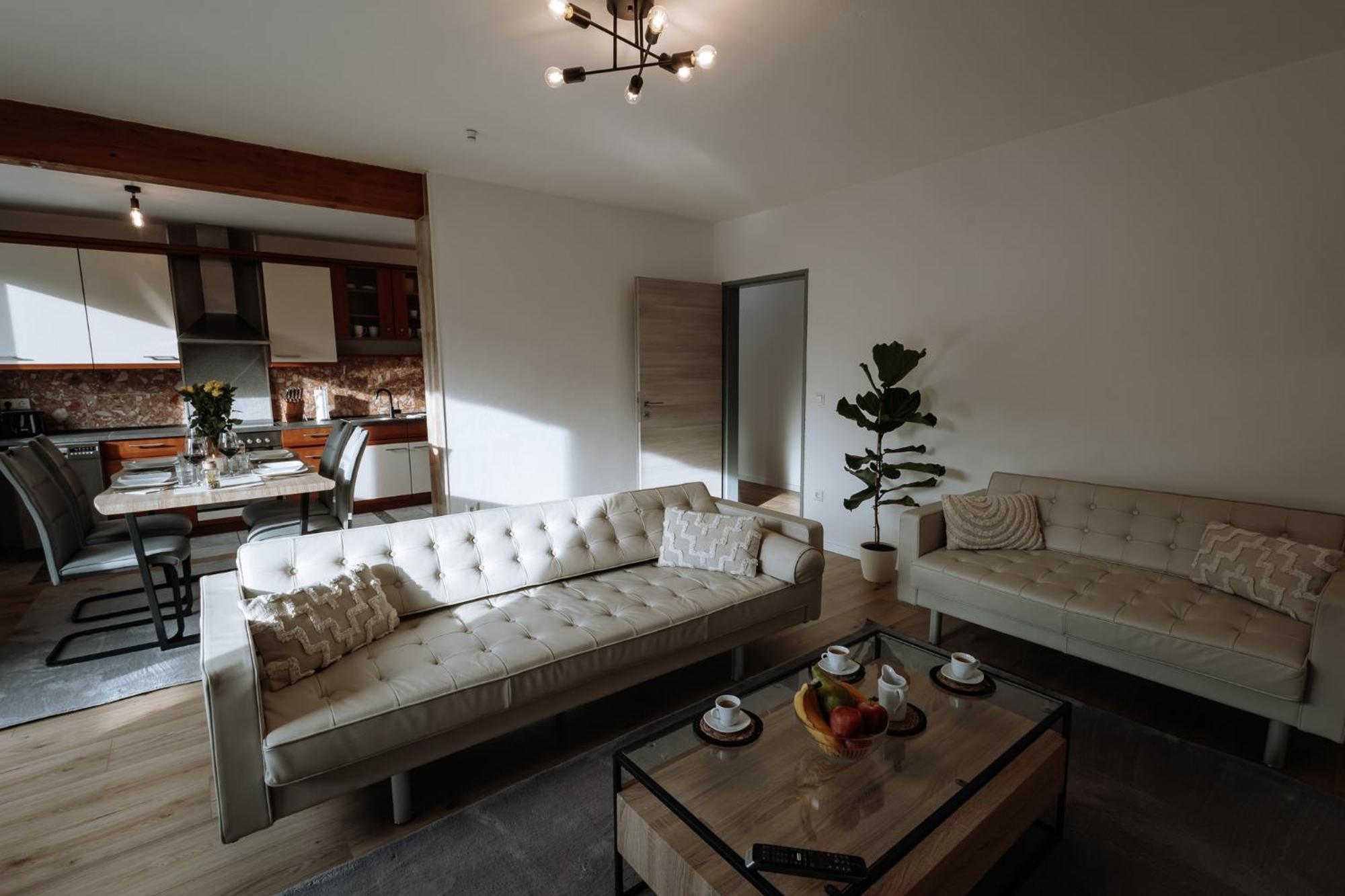 Stilvolles Appartement Mit Blick Auf Das Dreifluesse-Eck Passau Exterior foto